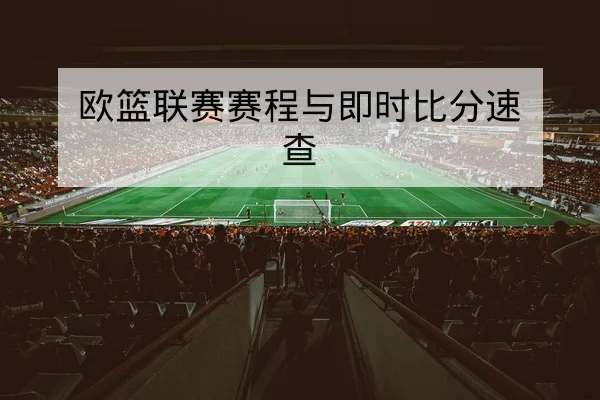 德甲主客场射门效率及期望进球xG对比